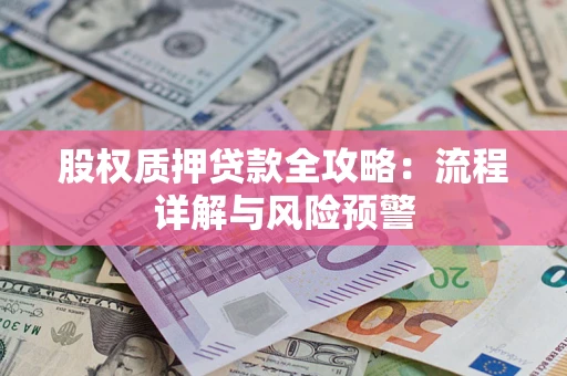 北京股权质押贷款全攻略：流程详解与风险预警