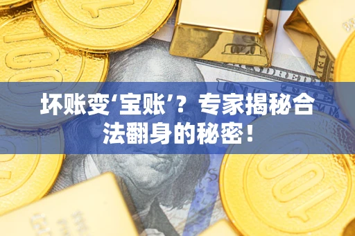 北京坏账变‘宝账’？专家揭秘合法翻身的秘密！