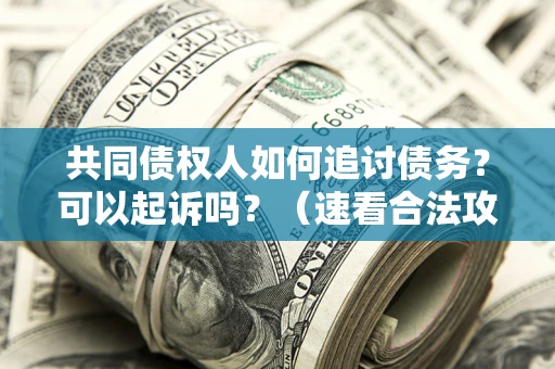 北京共同债权人如何追讨债务？可以起诉吗？（速看合法攻略）